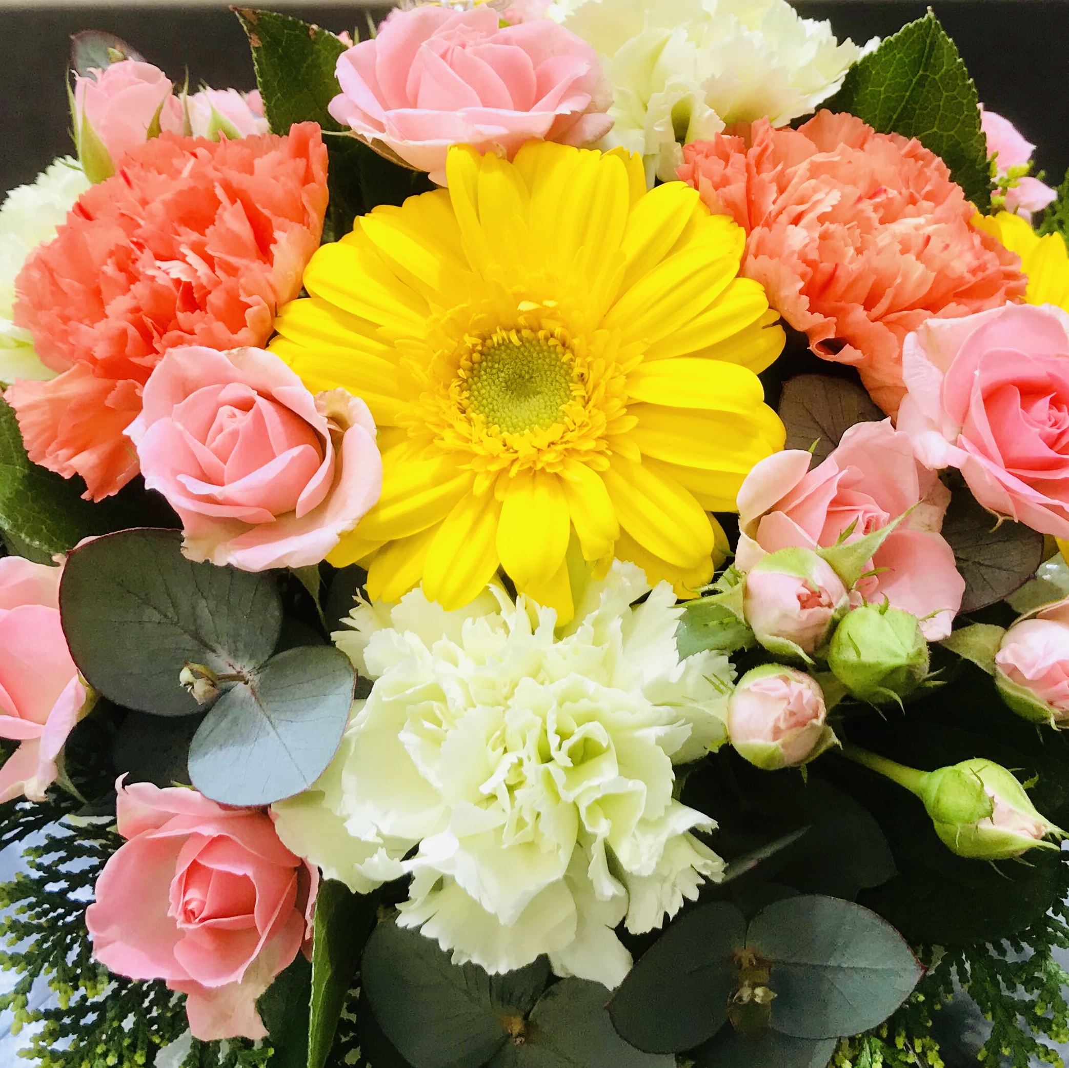 アイディア次第で愉しめる。