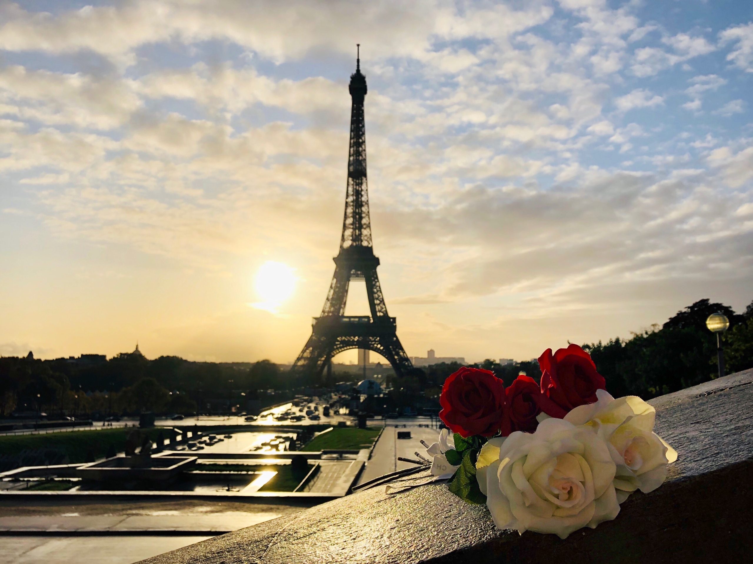 Loveology 異世界人同士。