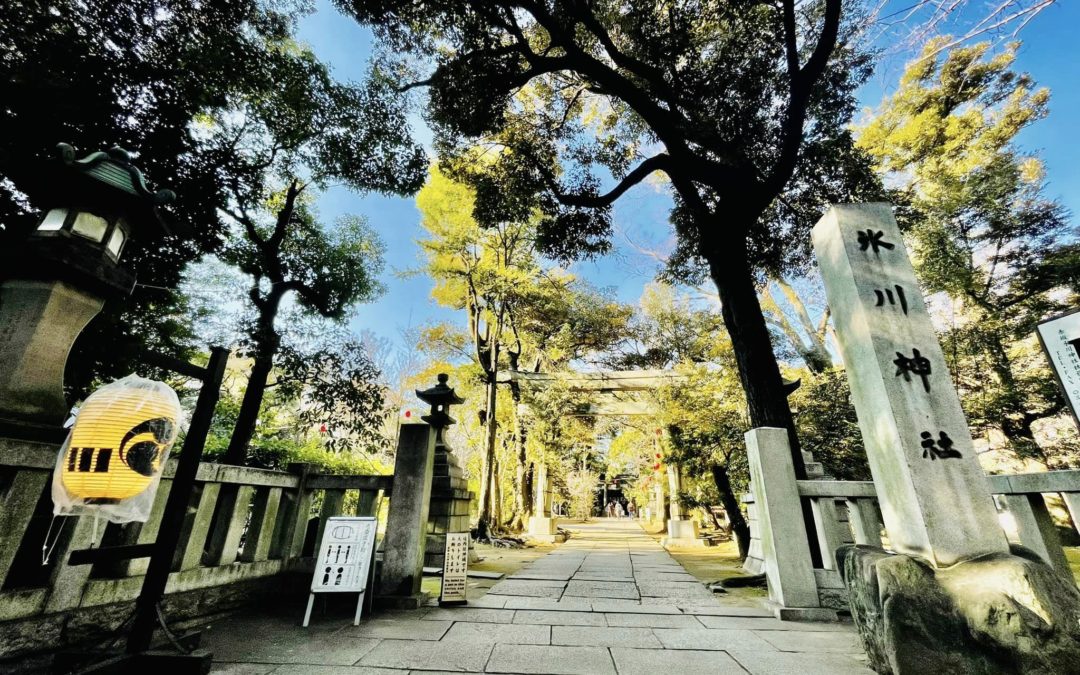 禍転じて福となす。