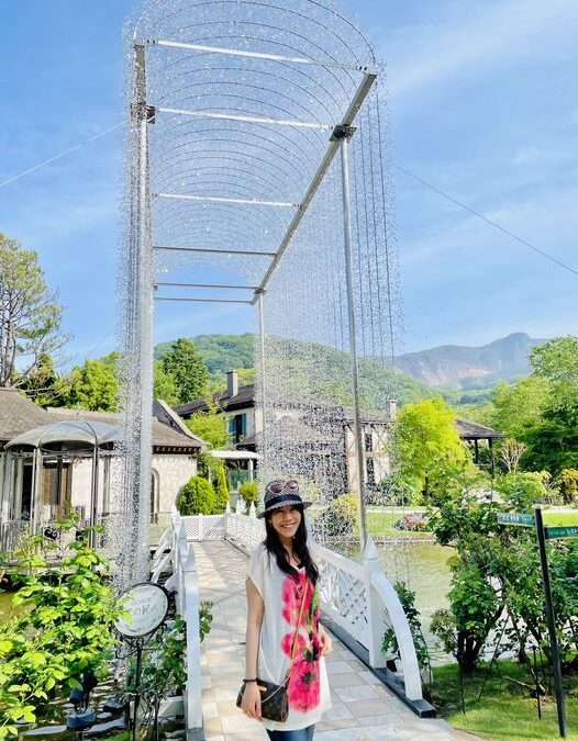 最近の私事情。