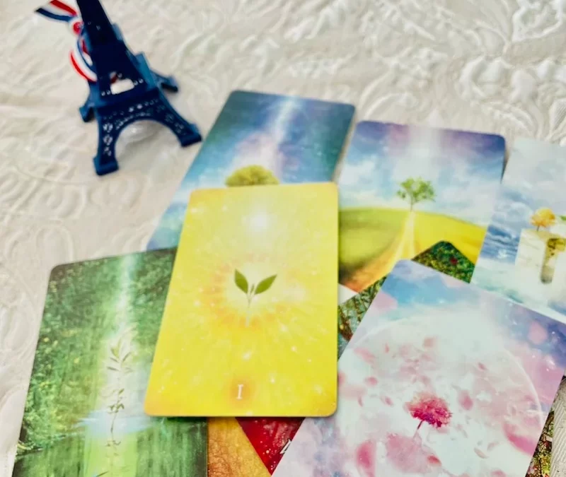 アバンダンスツリー9カード。