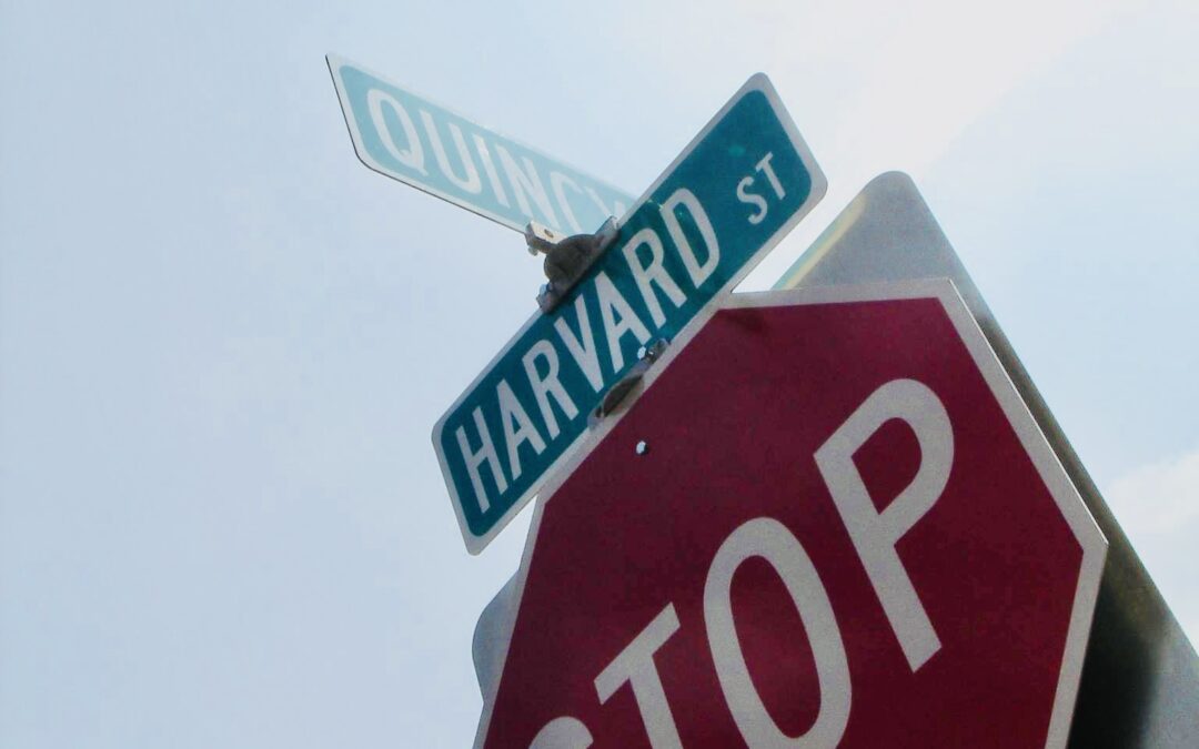 スピードは、愛。